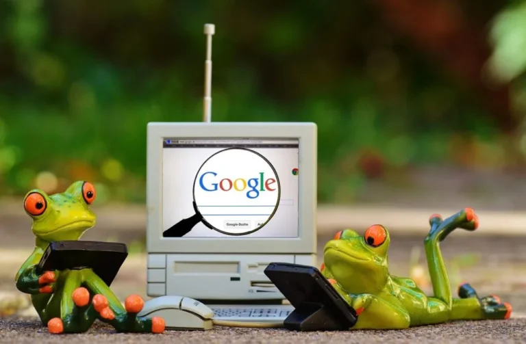 Frogs Computer Google